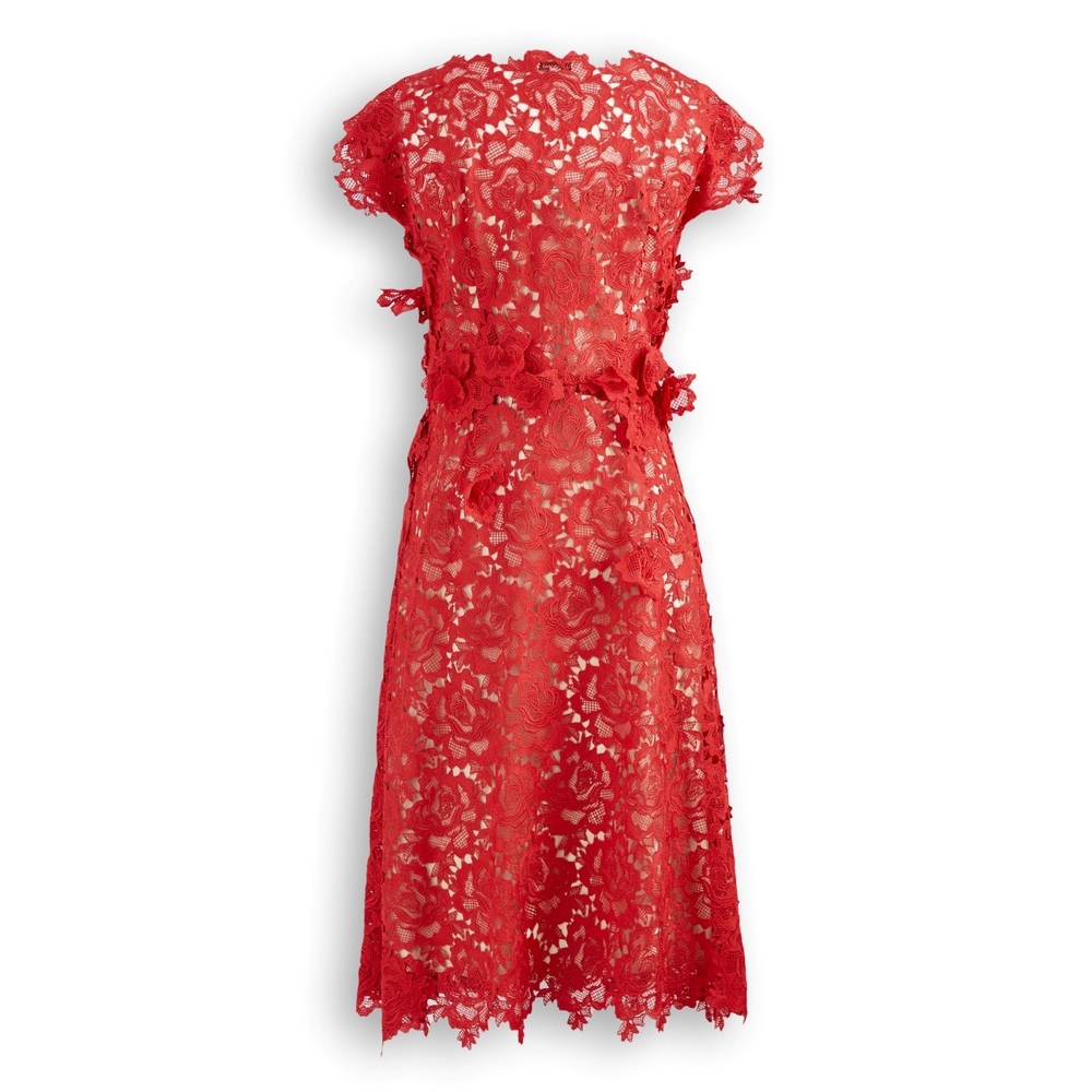 Elegant Red Lace Dress